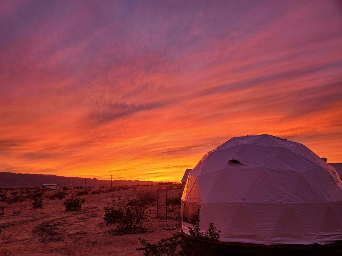 The Kosmic Tortoise Tente de luxe Twentynine Palms