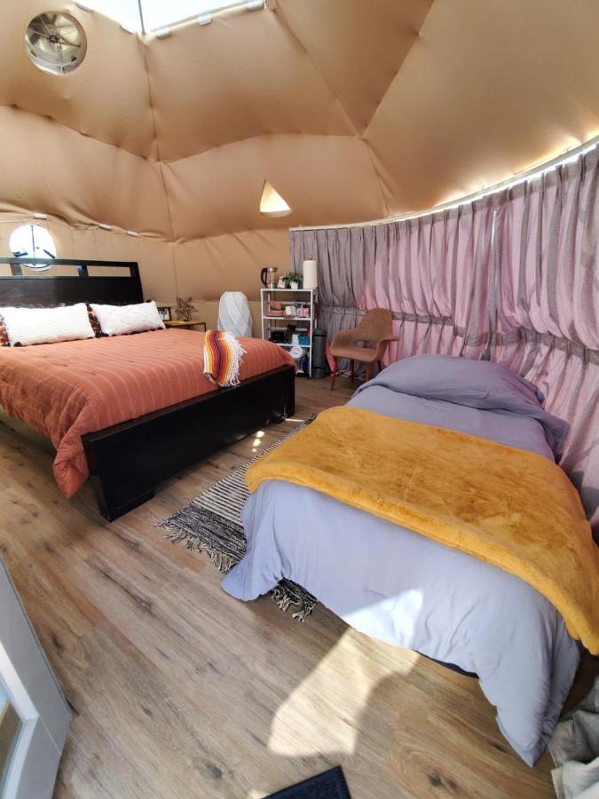 Tente de luxe The Kosmic Tortoise Twentynine Palms