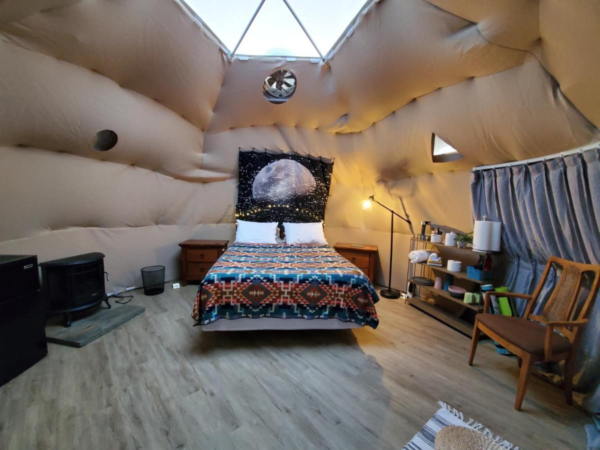 The Kosmic Tortoise Tente de luxe Twentynine Palms