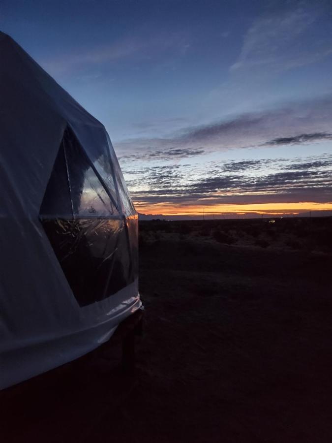 Campismo de Luxo The Kosmic Tortoise