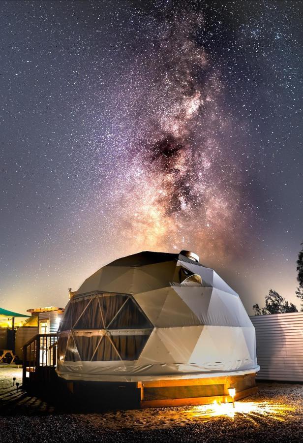 The Kosmic Tortoise Campismo de Luxo Twentynine Palms