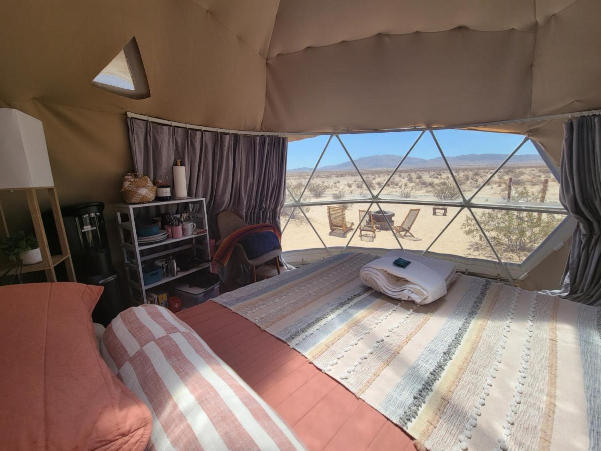 The Kosmic Tortoise Campismo de Luxo